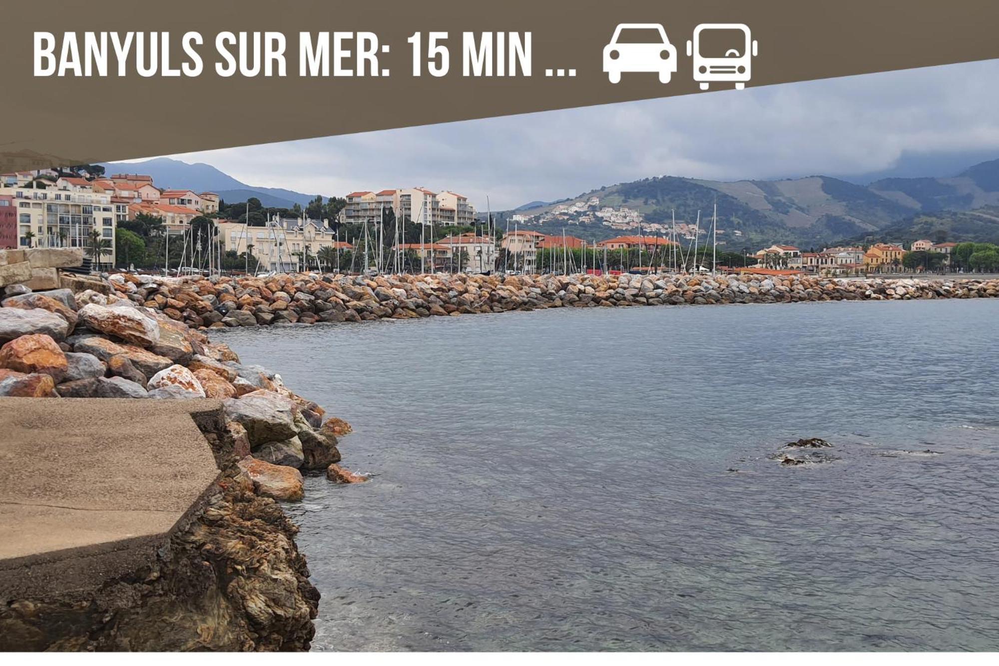 L'Escapade, Port A 200M, Climatisation Et Balcon Appartement Port Vendres Buitenkant foto